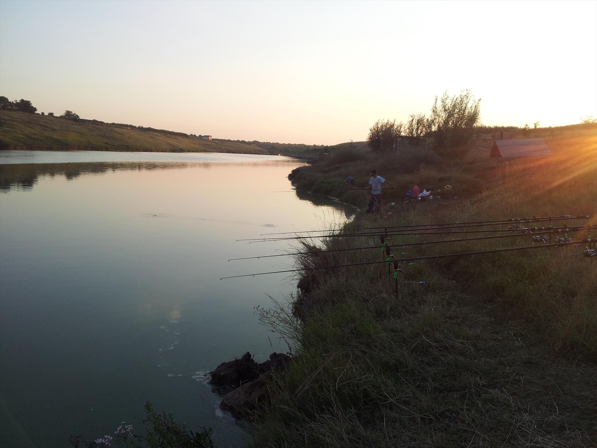 fundulea 6 20.07.2013 - 20130803200510.jpg